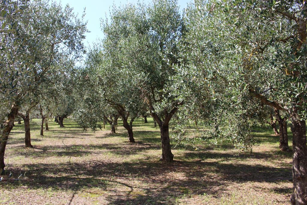 B&B La Gazza Ladra Carmiano  Dış mekan fotoğraf